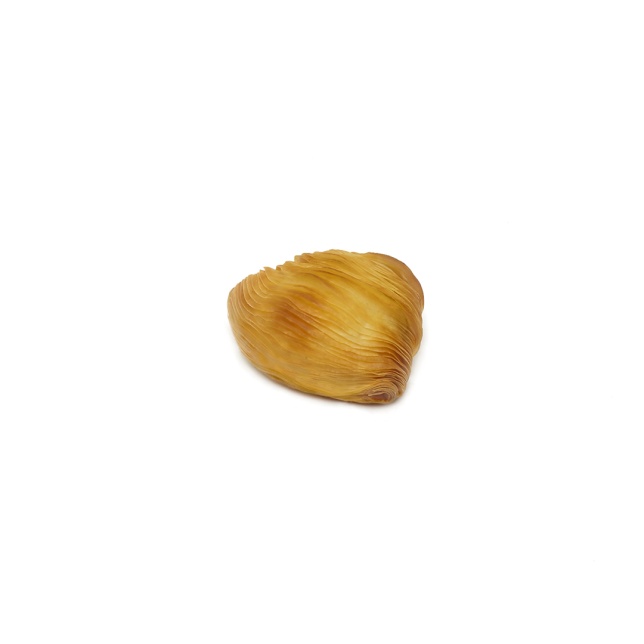 Sfogliatella classica mignon   riccia